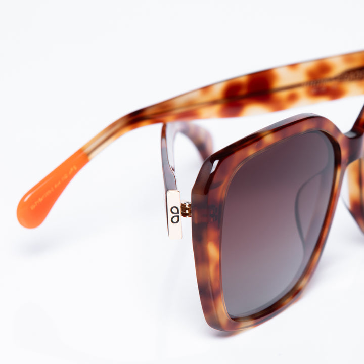 Legado C2 - LALI x HRDM