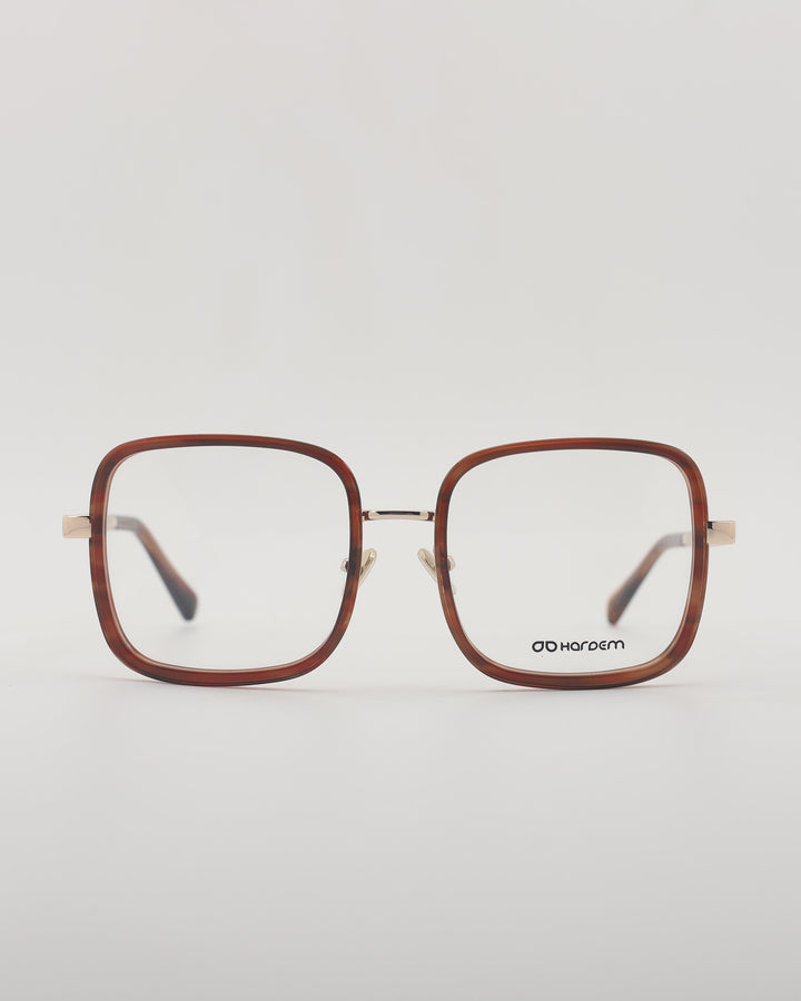 Atlanta Optical C2
