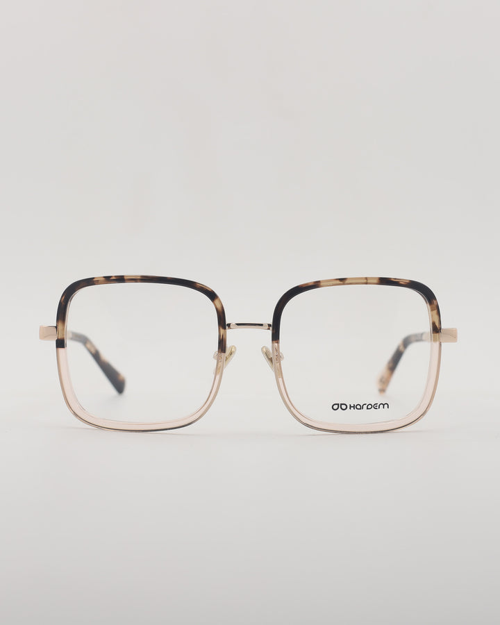 Atlanta Optical C3