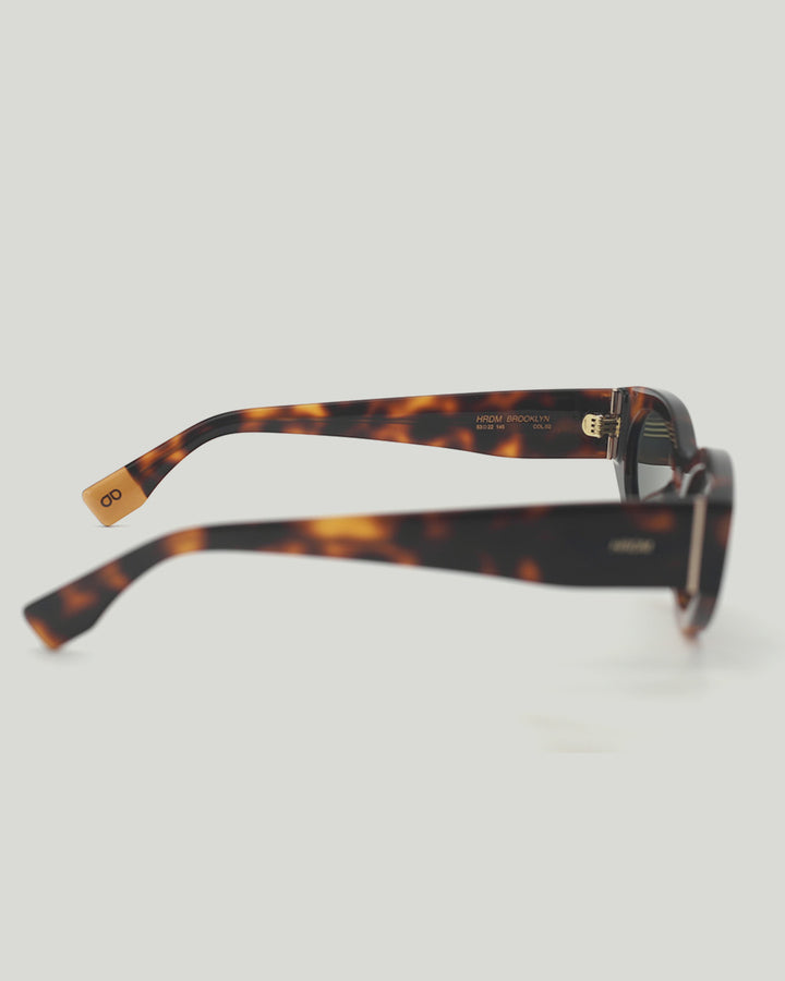 Brooklyn Sun C2 by MG