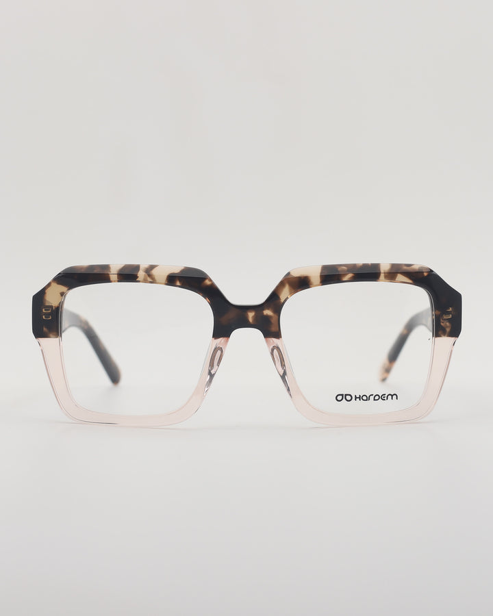 Gante Optical C5