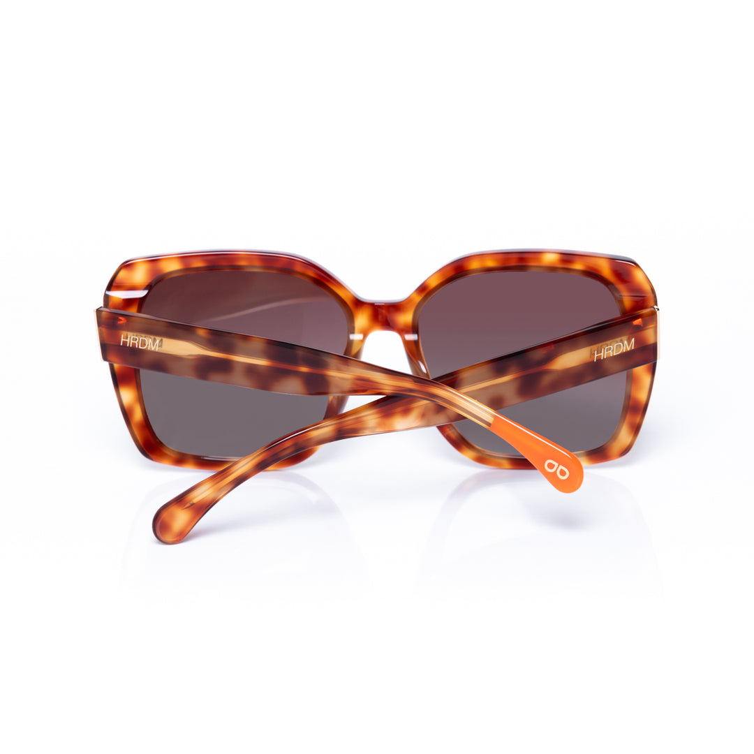 Legado C2 - LALI x HRDM