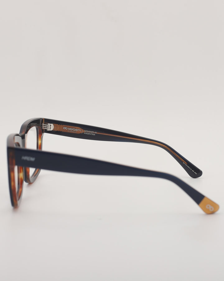 Minsk Optical C4