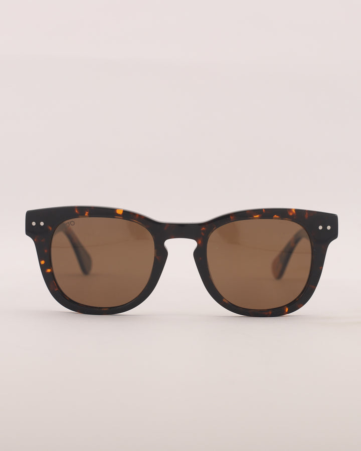Montana Sun C2