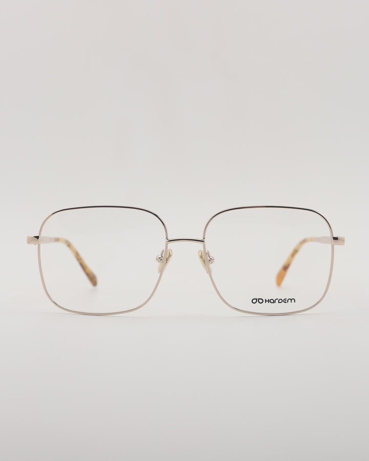 Nagoya Optical C1
