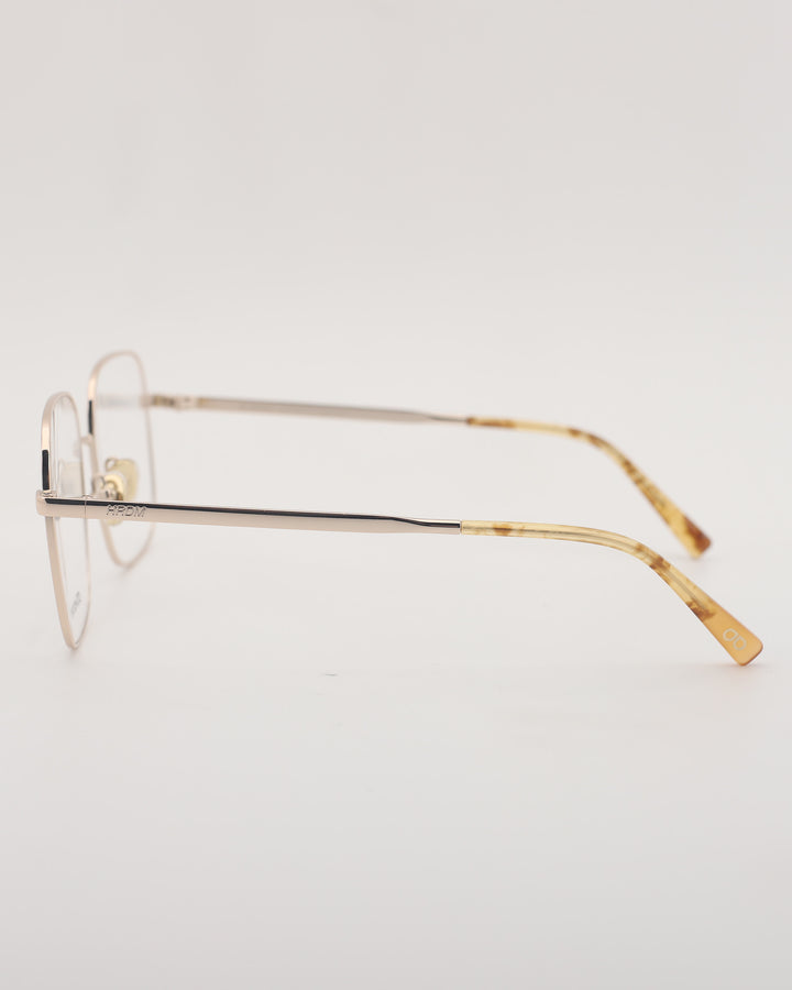 Nagoya Optical C1