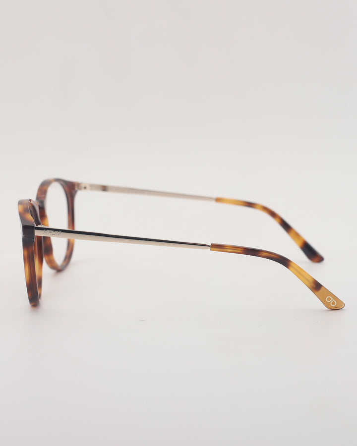 New York Optical C2