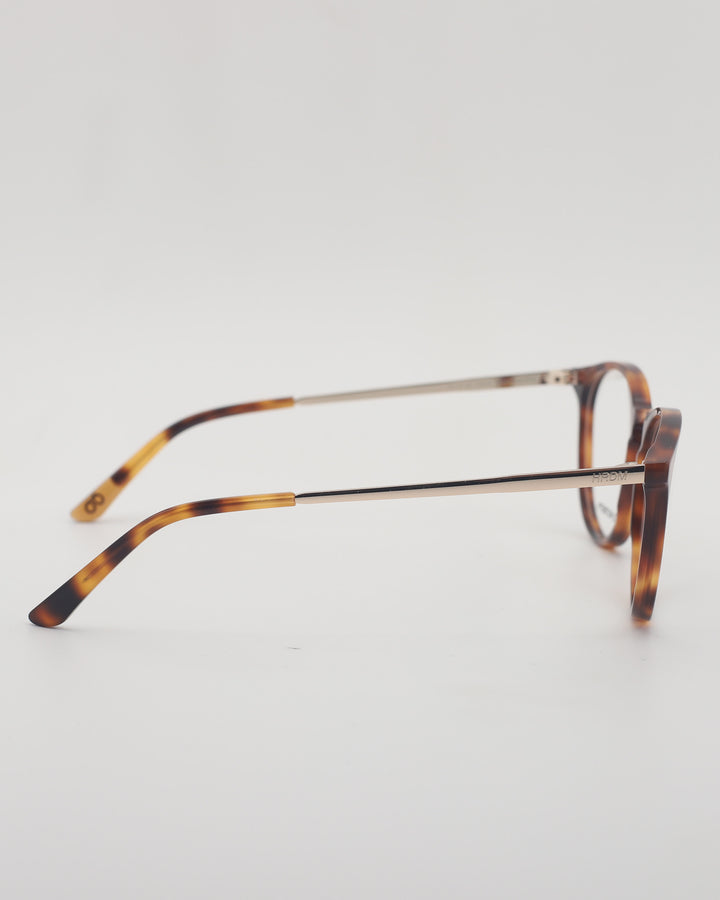 New York Optical C2