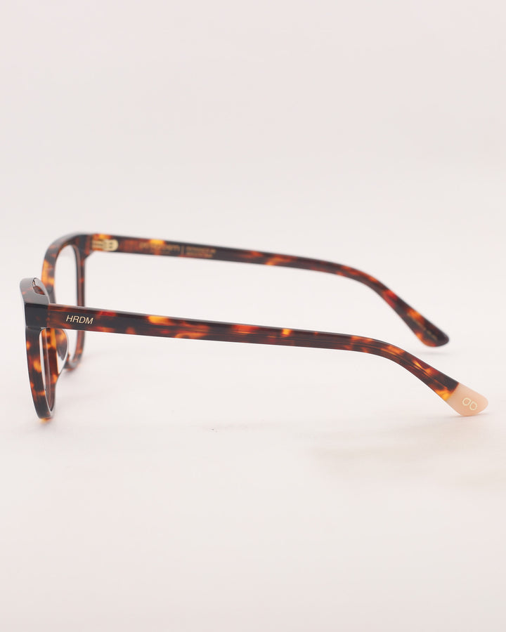 Nilo Optical C2