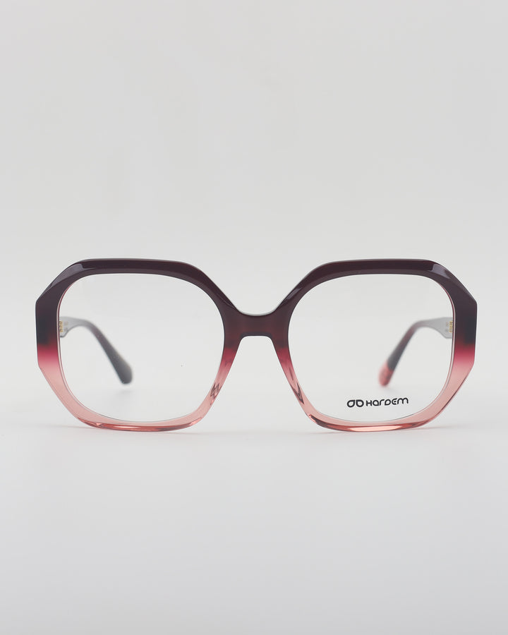 Polanco Optical C4