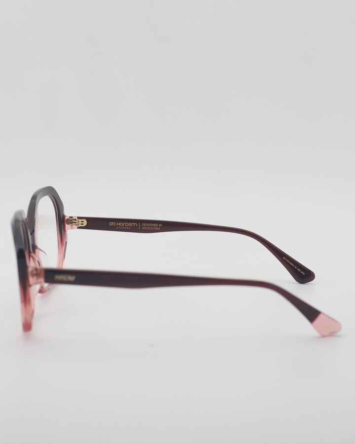 Polanco Optical C4