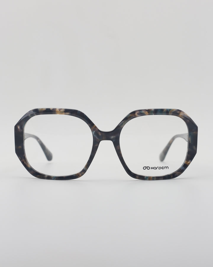 Polanco Optical C1