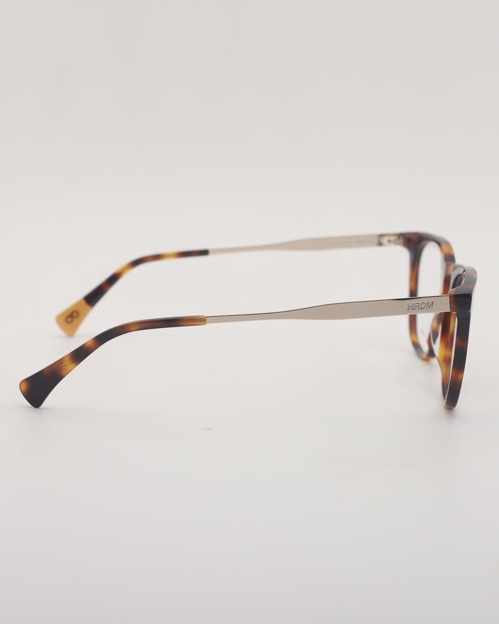 Riad Optical C2