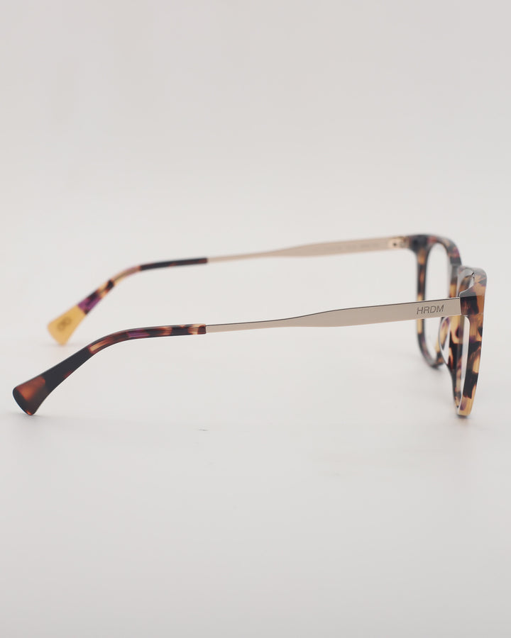 Riad Optical C4