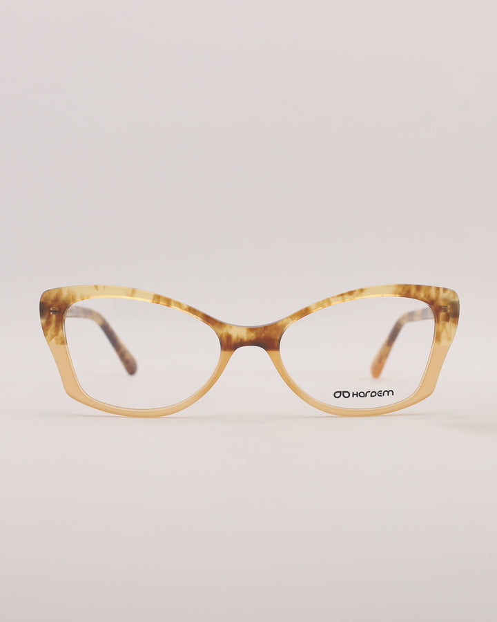 Yonge Optical C3
