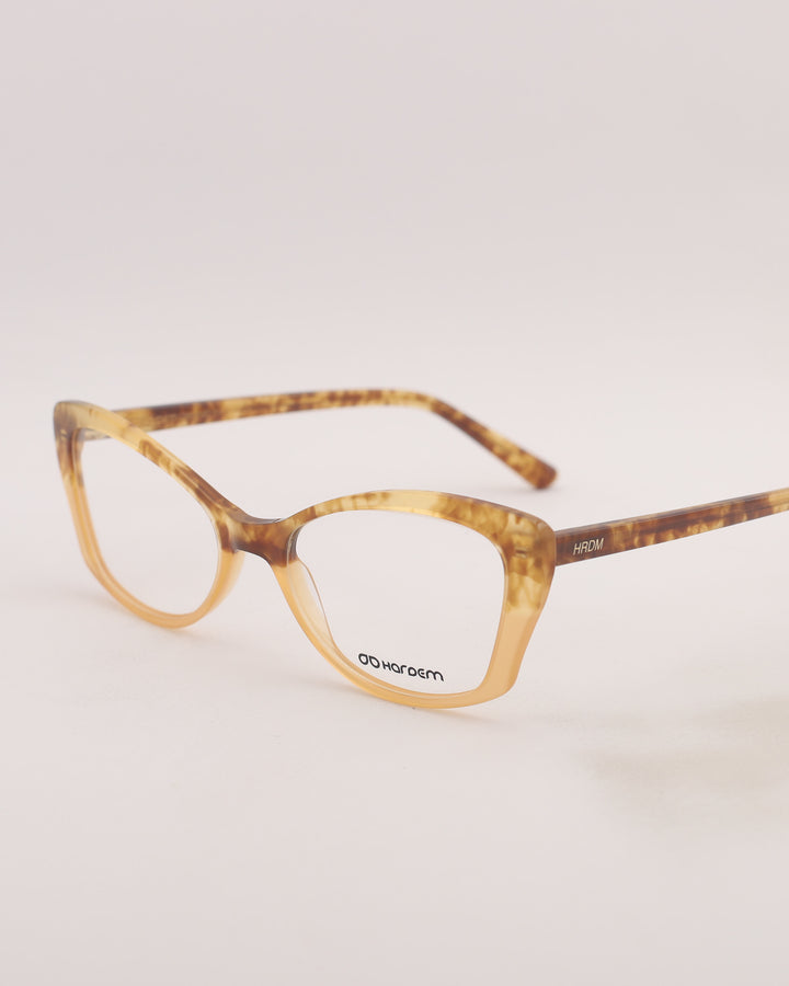 Yonge Optical C3