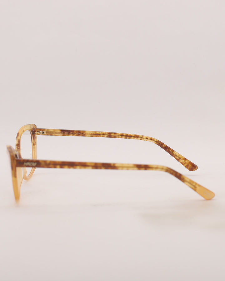 Yonge Optical C3