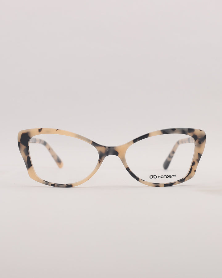 Yonge Optical C2