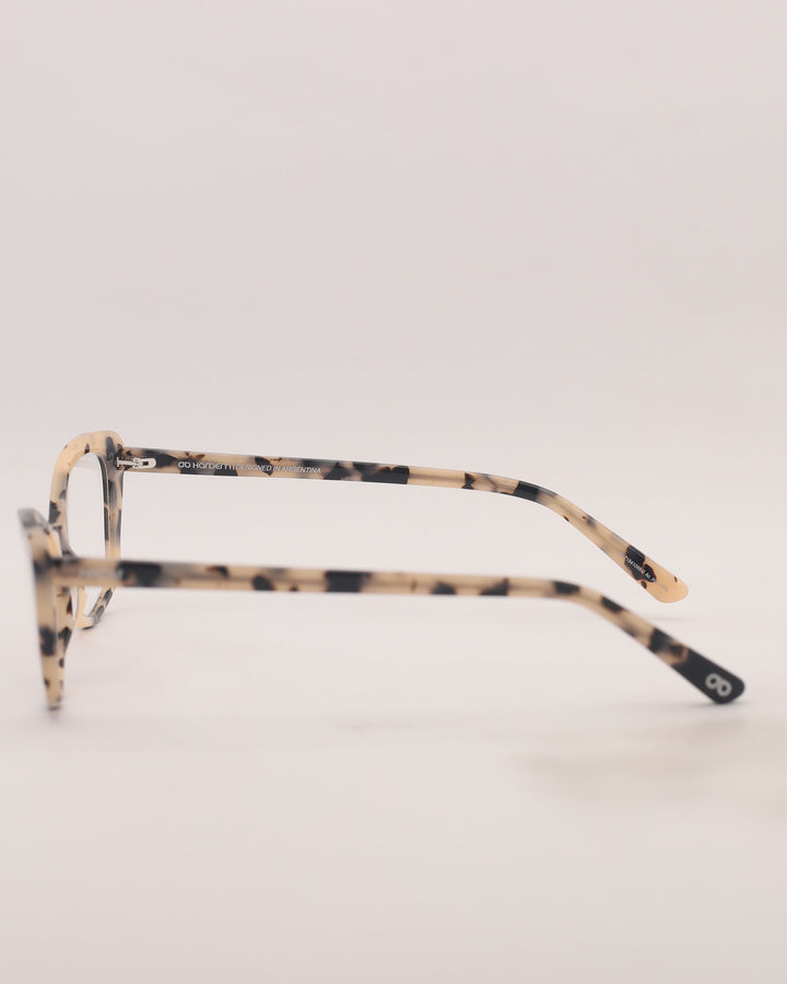Yonge Optical C2
