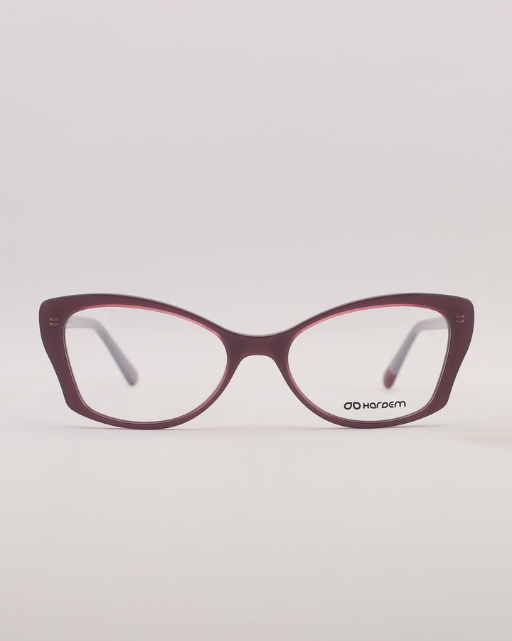 Yonge Optical C4