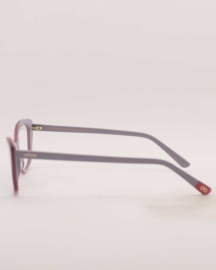 Yonge Optical C4